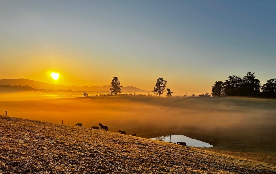 Commercial Property for Sale in Sedgefield Rural Western Cape